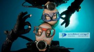 51% off PADI Open Water Diving Course with Arabian Angel Diving Institute